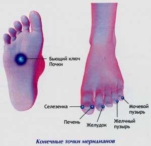 Меридианы на теле человека схема