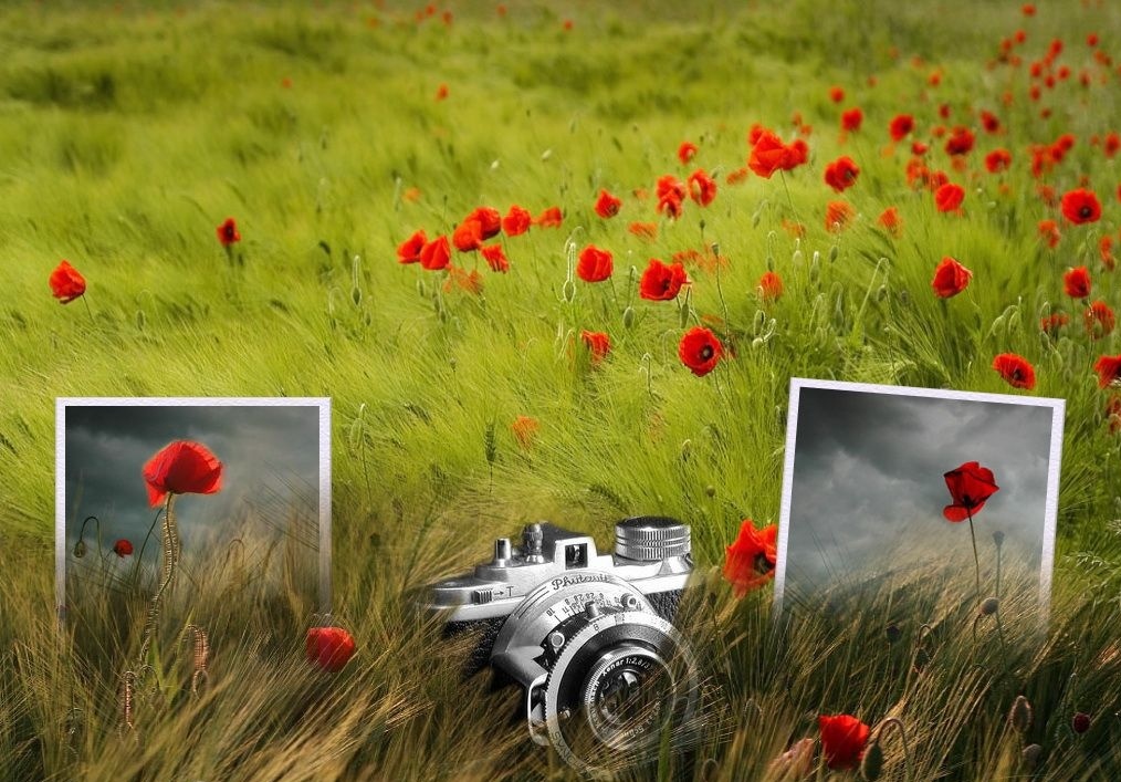 Открытки с днем рождения для мужчины фотографа, бумага используется для