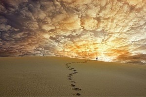 Тренинг Григория Рейнина Путешествие сознания