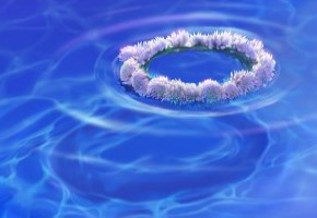 Женская стихия – вода. Источник или болото?