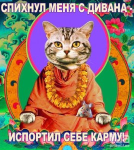 Картинка про карму