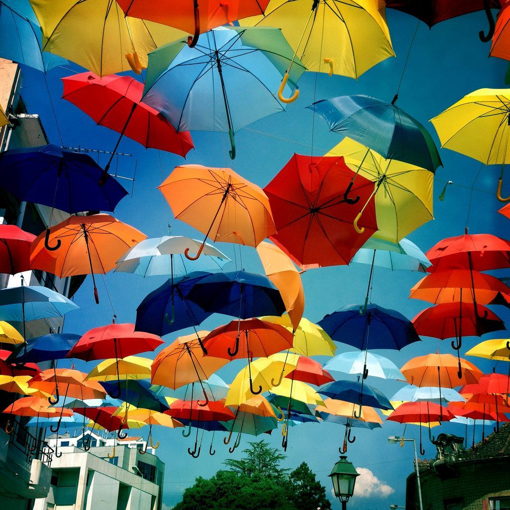 Поющие зонтики. Разноцветные зонтики. Разноцветный зонт. Красивые зонтики. Яркий зонт.