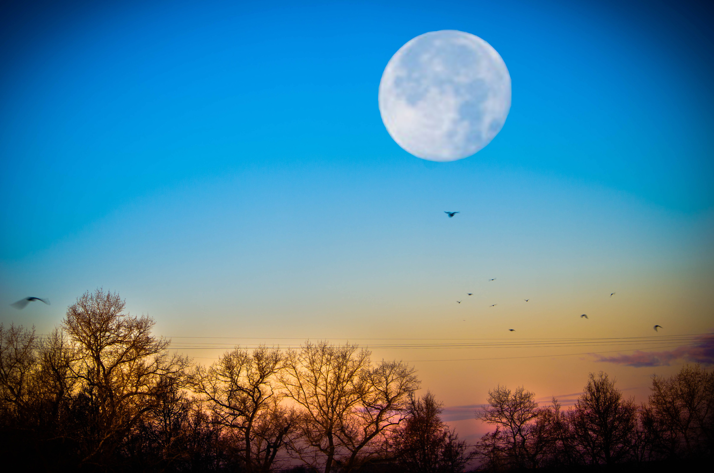 Луна взошла светло. Луна на небе. Луна на голубом небе. Лунное небо. Луна на рассвете.
