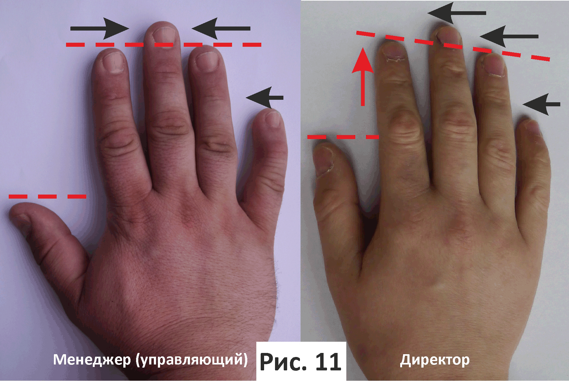 Безымянный палец длиннее указательного. Указательный палец длиннее. Указательный палец безымянный палец. Хирогномия руки. Что значит гни