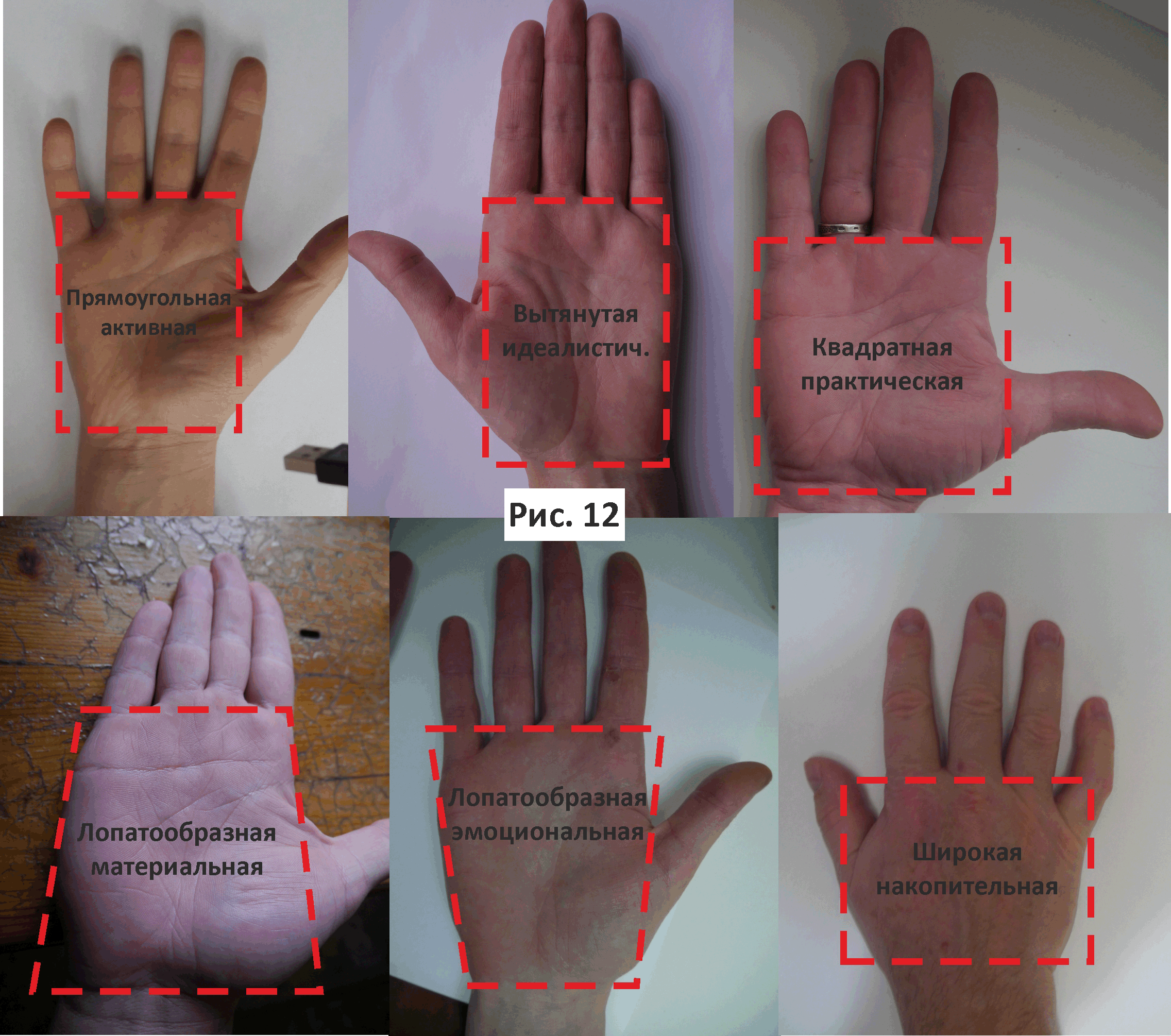 Руки мужчины характер. Типы ладоней хиромантия. Типы рук в хиромантии. Форма руки хиромантия. Разновидности форм ладони.