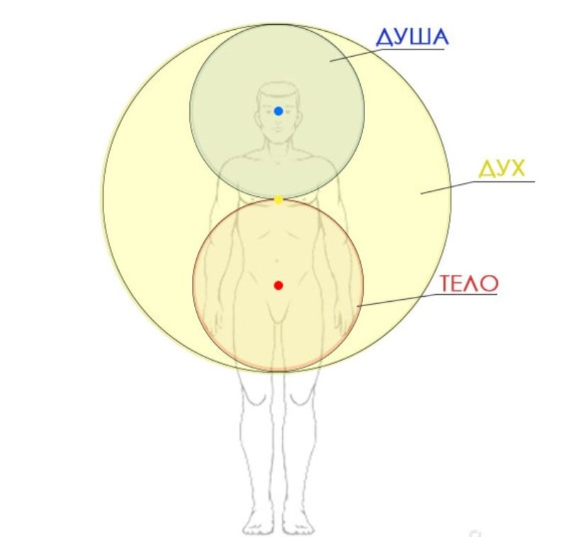 Тело И Душа Картинки
