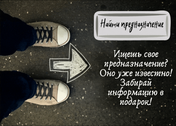 В чем цель именно вашей жизни?