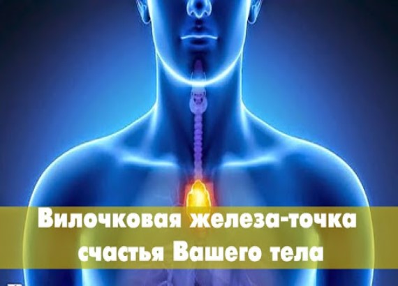 ТОЧКА СЧАСТЬЯ